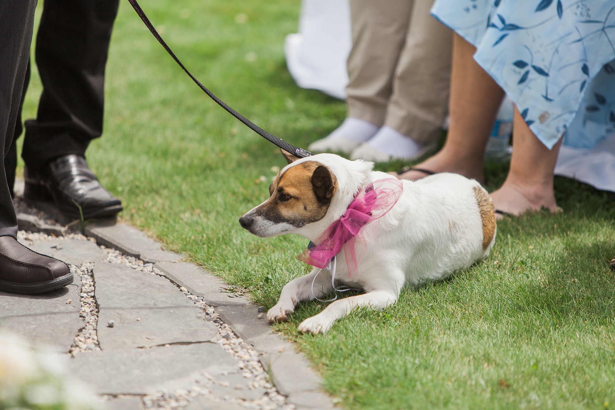 Purple and white Raymond Backyard Wedding by Kinsey Holt Photography