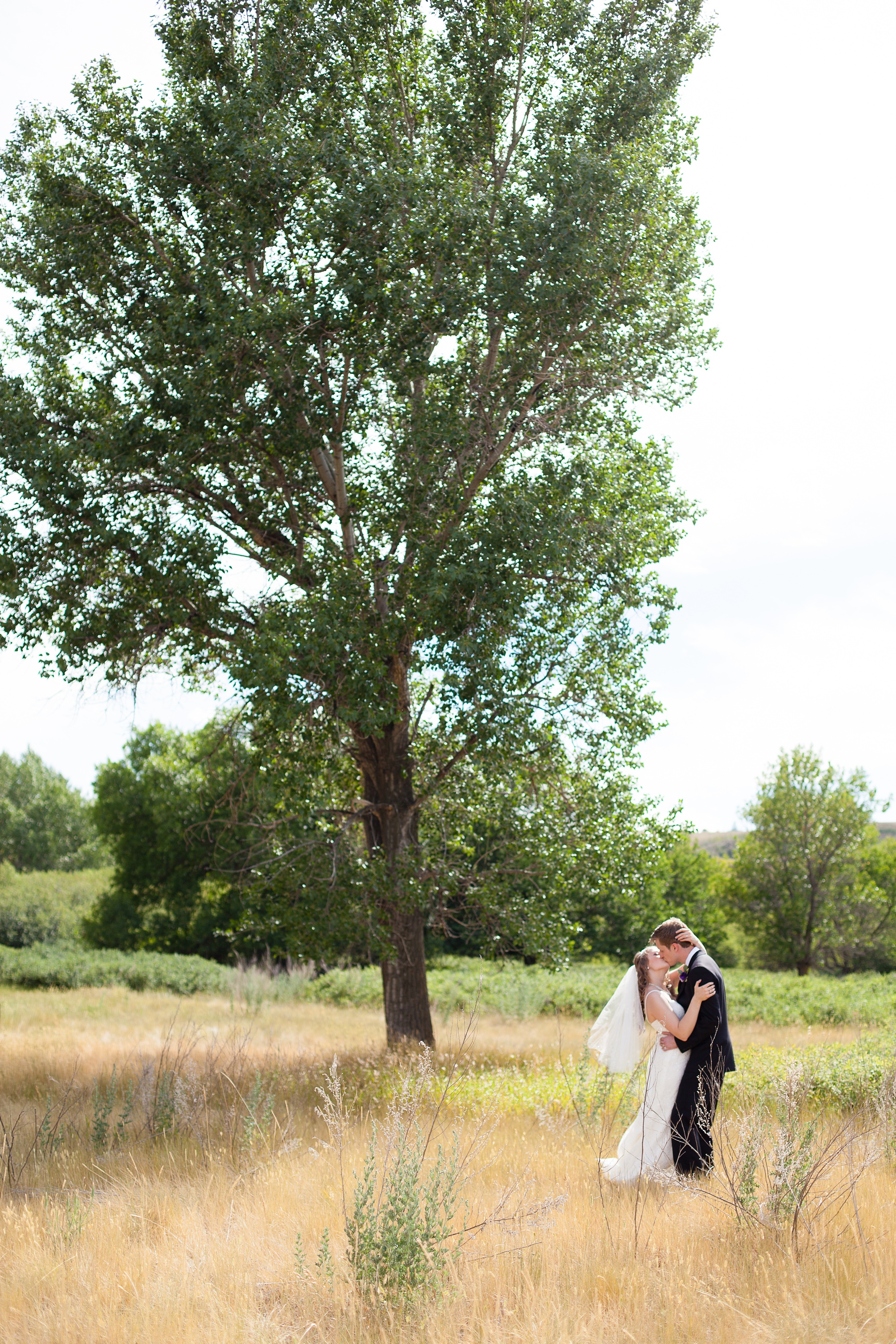 Lethbridge Bridal Portraits of this Purple and white Raymond Backyard Wedding by Kinsey Holt Photography