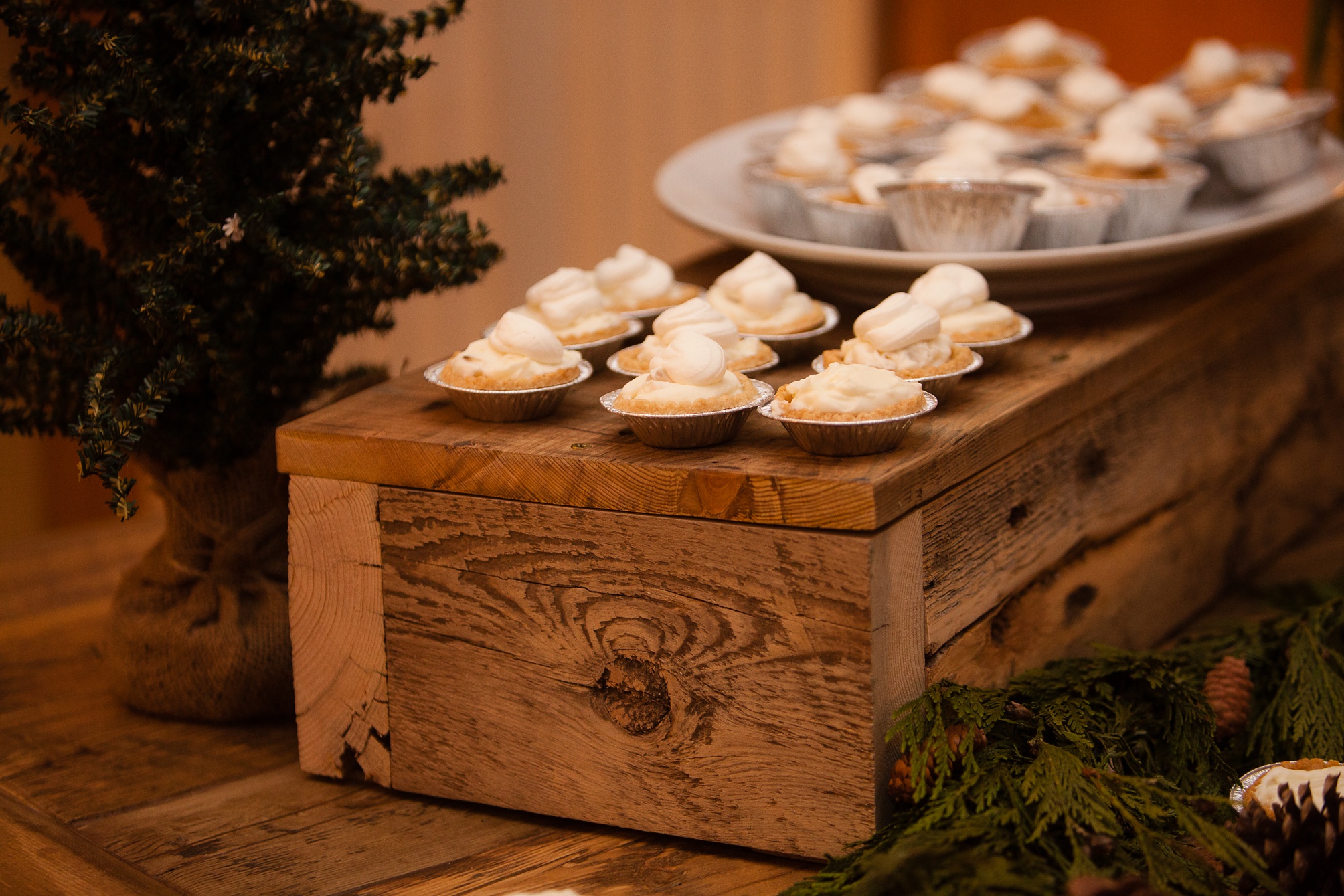 Jonny and Jordan's Cardston Winter Wedding