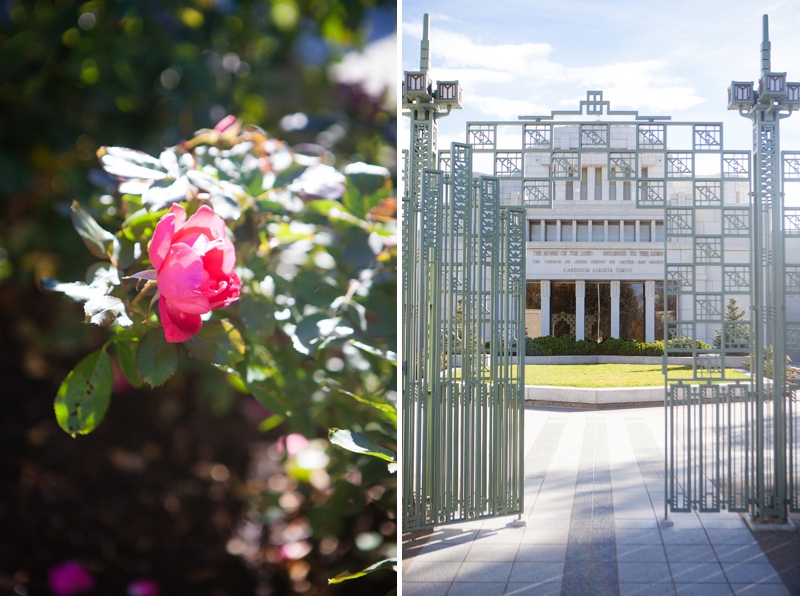 Lethbrige Indian Wedding, Cardston Temple Wedding