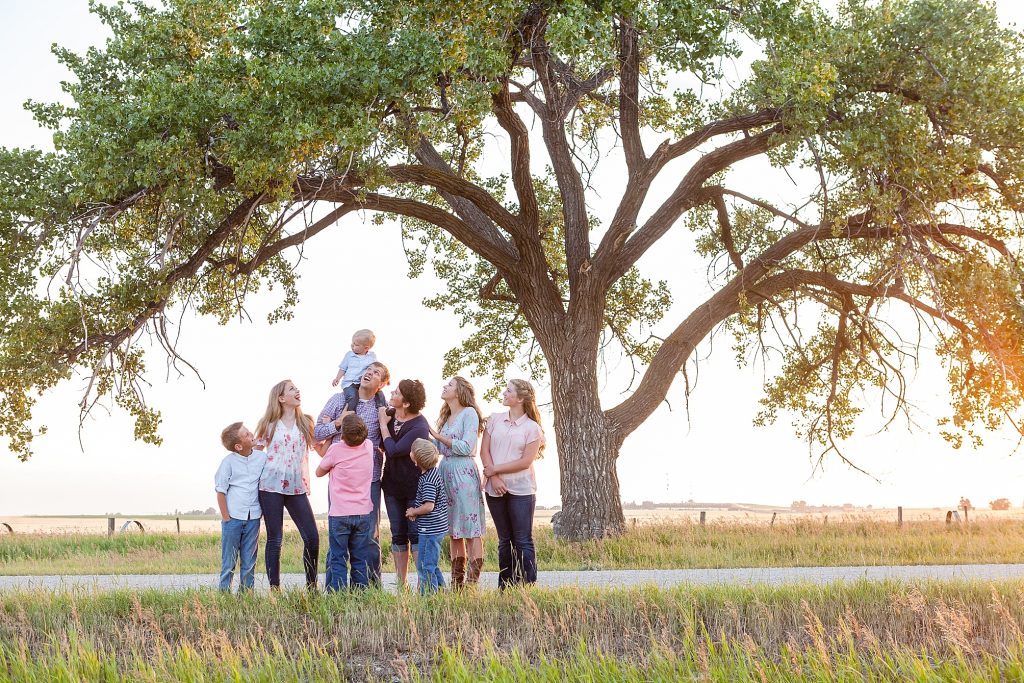 Giant tree family photo by Southern Alberta family photographer Kinsey Holt Photography