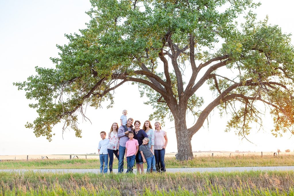Giant tree family photo by Southern Alberta family photographer Kinsey Holt Photography