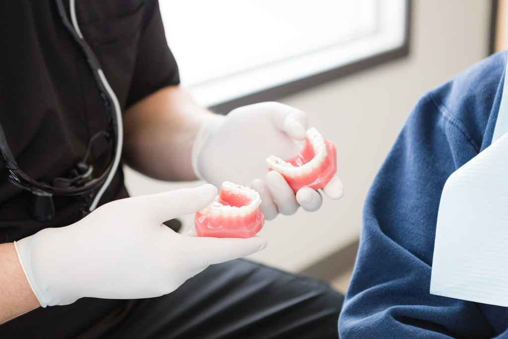 Teeth models at Absolute Dental for Lethbridge dentist photography